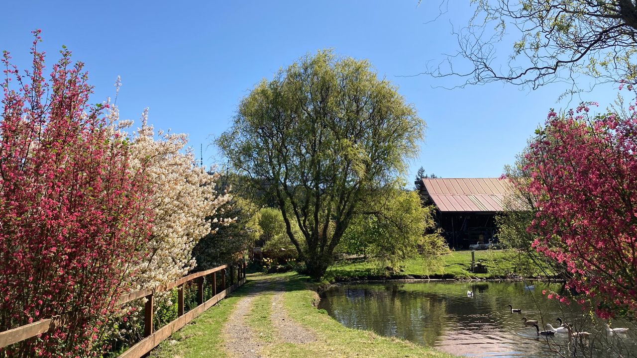 pond pathway